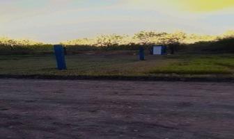 Foto de inmueble en MIGUEL HIDALGO, Col. Ocampo Centro C.P. 37630, Ocampo