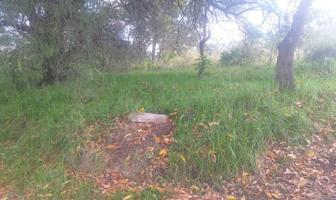 Foto de inmueble en ZAHUAPAN , Col. Belén Atzitzimititlan C.P. 90605, Apetatitlán de Antonio Carvajal