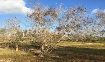 Foto de inmueble en 1, Col. Isla de Holbox C.P. 77310, Lázaro Cárdenas