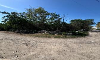 Foto de inmueble en 1, Col. Paraíso C.P. 97206, Mérida