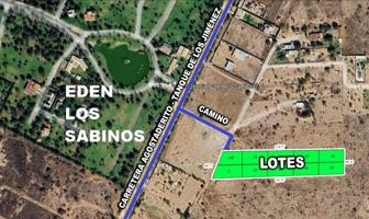 Foto de inmueble en Carretera Agostaderito Tanque de los Jimenez , Col. El Cedazo (cedazo de San Antonio) C.P. 20375, Aguascalientes