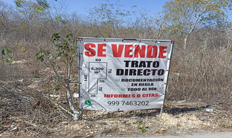 Foto de inmueble en calle 11, Col. Santa María Rosas C.P. 97346, Conkal