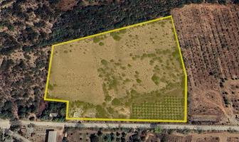 Foto de inmueble en 13 Acre Orchard, Agua Caliente, East Cape, Col. San José del Cabo (Los Cabos) C.P. 23429, Los Cabos