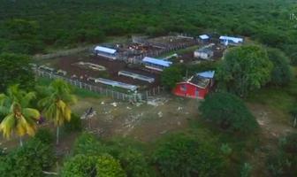 Foto de inmueble en calle 14, Col. Panaba C.P. 97610, Panabá