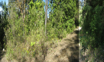 Foto de inmueble en Lote 9 Mz G y Lote 10 Mz F, Col. Aguacatera del Monte C.P. 61539, Zitácuaro