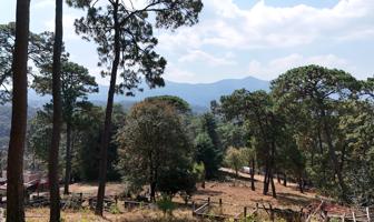 Foto de inmueble en Monte Alto, 51200 Monte Alto, Méx. #s/n, Col. Valle de Bravo C.P. 51200, Valle de Bravo