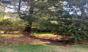 Foto de inmueble en SIERRA NEGRA, Col. Lomas de Chapultepec V Sección C.P. 11000, Miguel Hidalgo