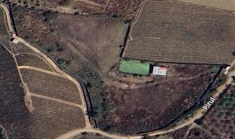 Foto de inmueble en 62835 Nepopualco, Mor. #s/n, Col. Nepopualco C.P. 62835, Totolapan