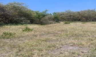 Foto de inmueble en 62614 Michapa, Mor., Col. Apancingo C.P. 62614, Coatlán del Río