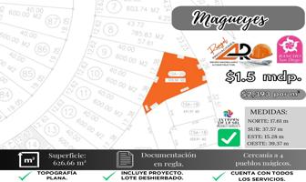 Foto de inmueble en Lote Magueyes Completamente Plano y Amplio Rancho San Diego , Col. Ixtapan de la Sal C.P. 51900, Ixtapan de la Sal