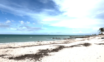 Foto de inmueble en C. 17, 97336 Chelem, Yuc., Col. Yucalpeten C.P. 97336, Progreso