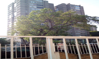 Foto de inmueble en Coapa, Alianza Popular Revolucionaria, 04800 Ciudad de México, CDMX, Col. Alianza Popular Revolucionaria C.P. 04800, Coyoacán