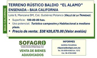 Foto de inmueble en TERRENO RUSTICO BALDIO Lote 9 MANZANA SM, Col. Pocitos (Valle de la Trinidad) C.P. 22797, Ensenada