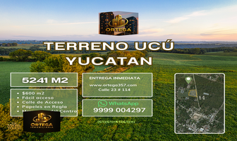 Foto de inmueble en calle 23, Col. Ucu C.P. 97357, Ucú