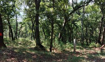 Foto de inmueble en Villa del Carbon, Villa del Carbón, Méx. #LOTE 111, Col. Villa del Carbón C.P. 54300, Villa del Carbón