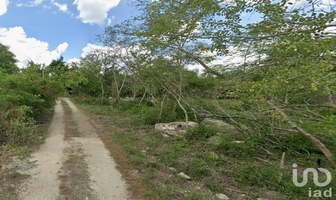 Foto de inmueble en 29 #319, Col. San Ignacio C.P. 97334, Progreso