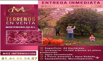 Foto de inmueble en Montemorelos, N.L., Col. Montemorelos Centro C.P. 67500, Montemorelos