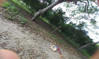 Foto de inmueble en Ignacio Allende #s/n, Col. Doctor Montes de Oca (San Isidro) C.P. 92763, Álamo Temapache