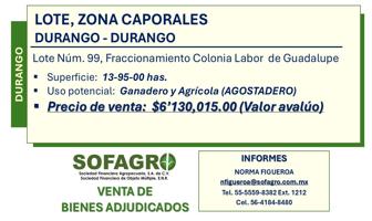 Foto de inmueble en LOTE Num 99 Int. -, Col. Labor de Guadalupe C.P. 34303, Durango
