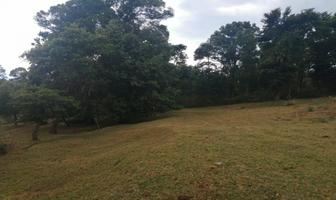 Foto de inmueble en 2da Sección, Col. Mesas de Dolores C.P. 51246, Valle de Bravo