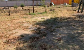 Foto de inmueble en 5 DE MAYO, Col. Tercera Sección C.P. 90623, Amaxac de Guerrero