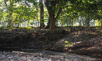 Foto de inmueble en Cam. a Campo Nuevo, 62615 Coatlán del Río, Mor. #s/n, Col. Coatlán del Río C.P. 62610, Coatlán del Río