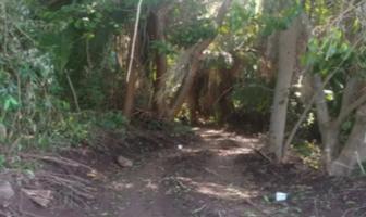 Foto de inmueble en Camino Chacala Las Varas #s/n, Col. Guadajara C.P. 63715, Compostela