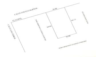 Foto de inmueble en Eucaliptos, Las Arboledas, 38848 Moroleón, Gto., Col. Las Arboledas C.P. 38848, Moroleón