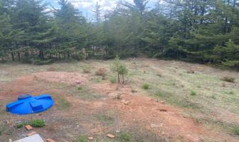 Foto de inmueble en San Nicolas el Oro, 50600 El Oro de Hidalgo, Méx. #s/n, Col. El Oro de Hidalgo C.P. 50600, El Oro