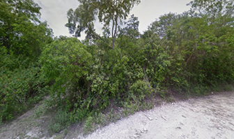 Foto de inmueble en 77774 Jacinto Pat, Q.R., Col. Ciudad Chemuyil C.P. 77774, Tulum