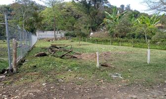 Foto de inmueble en Briones, La Pitaya, 91612 Coatepec, Ver., Col. Plan de la Cruz C.P. 91612, Coatepec