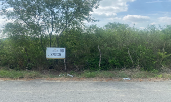Foto de inmueble en carretera Allende - Montemorelos, Col. General Escobedo C.P. 67618, Montemorelos