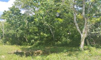 Foto de inmueble en sin ka #s/n, Col. Chumpon C.P. 77130, Felipe Carrillo Puerto