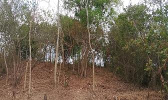 Foto de inmueble en Carr. al Llanito, El Crucero, 48400 El Tuito, Jal., Col. Llano de los Laureles C.P. 48400, Cabo Corrientes