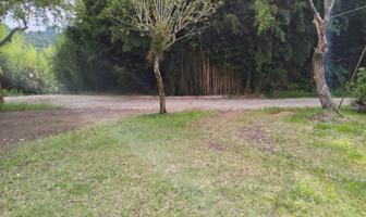 Foto de inmueble en REFORMA #115, Col. Olmeca C.P. 96160, Oluta