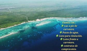 Foto de inmueble en km 24 carretera Estatal #s/n, Col. Mahahual C.P. 77976, Othón P. Blanco