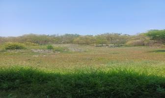 Foto de inmueble en 62614 Michapa, Mor., Col. Coatlán del Río C.P. 62610, Coatlán del Río