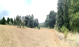 Foto de inmueble en FRACC RESIDENCIAL RANCHO ARROYOZARCO #11 Y 12, Col. Aldama C.P. 54263, Jilotepec