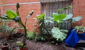 Foto de inmueble en Tercera Cda. de Minas 146, Lomas de Becerra, Álvaro Obregón, 01280 Ciudad de México, CDMX #146, Col. Arvide C.P. 01280, Álvaro Obregón