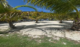 Foto de inmueble en SN #s/n, Col. Playa Uvero C.P. 77977, Othón P. Blanco