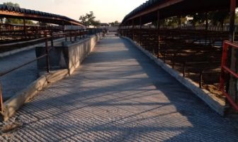 Foto de inmueble en Avenida Sur7 en el Complejo Agropecuario, Col. Tizayuca Centro C.P. 43800, Tizayuca