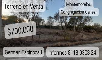 Foto de inmueble en 67606 Montemorelos, N.L. #s/n, Col. Valle Hidalgo (La Cotorra) C.P. 67606, Montemorelos