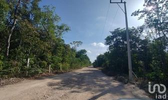Foto de inmueble en 57 Sur Región 8. Tulum, Quintana Roo., Col. La Veleta C.P. 77760, Tulum