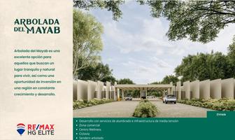 Foto de inmueble en 57W5+RC, Col. Chelem C.P. 97336, Progreso