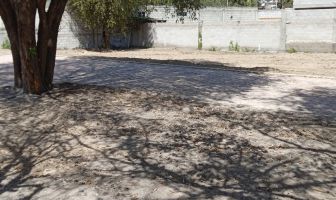 Foto de inmueble en MORELOS, Col. Olextla de Juárez C.P. 90864, Acuamanala de Miguel Hidalgo