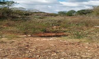 Foto de inmueble en S-N #S-N, Col. 10 de Mayo C.P. 24640, Calakmul