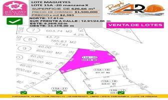 Foto de inmueble en Lote Magueyes Completamente Plano y Amplio Rancho San Diego , Col. Ixtapan de la Sal C.P. 51900, Ixtapan de la Sal