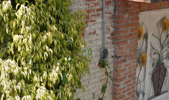 Foto de inmueble en Agustín Pena 58, Alejandra, 62736 Cocoyoc, Mor. #58, Col. Lucio Moreno C.P. 62736, Yautepec