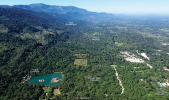 Foto de inmueble en Carretera a Palenque- Zona Archaeologica Km. 8, 29960 Palenque, Chiapas #Km. 8, Col. Elmar Setzer C.P. 29960, Palenque