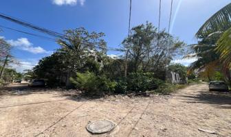 Foto de inmueble en C. Bosques de la Vida, 77724 Playa del Carmen, Q.R. #Mz 85Int. Lt 10, Col. Bosque de Cristo Rey C.P. 77723, Solidaridad